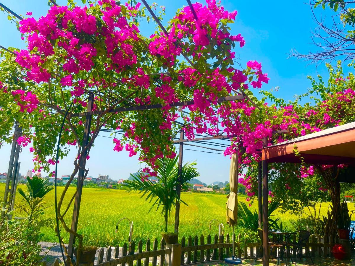 נין בין Tam Coc Eco Field Homes מראה חיצוני תמונה